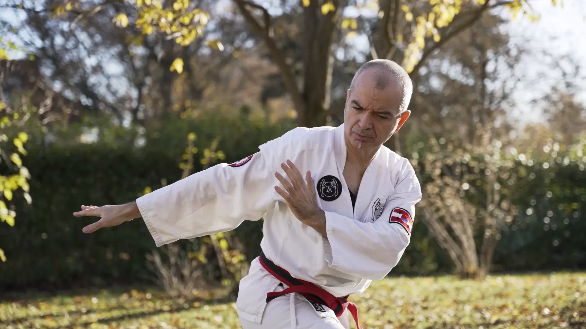 Yu Taekwondo Training