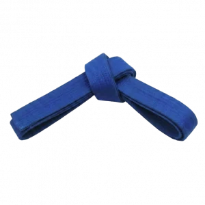 4. Kup: Ein gebundener Taekwondo Gürtel in Blau